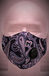 DKHS Blue Paisley Face Mask
