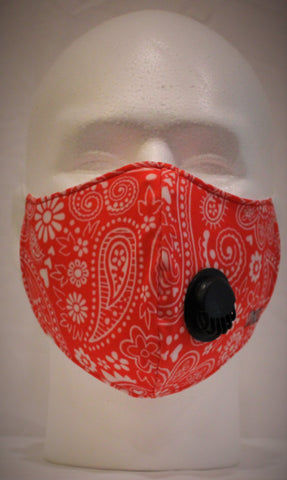 DKHS Red Paisley Face Mask